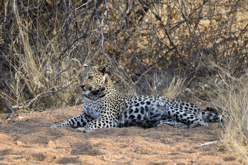 Travel Namibie 443