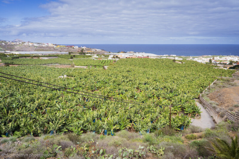 Gran Canaria 1001